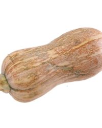 Bí đỏ hồ lô