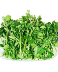 Cải Xoong
