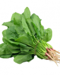 CẢI BÓ XÔI