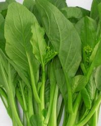CẢI NGỒNG