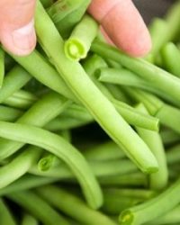 Đậu Que Sạch Tươi – Giòn Ngọt Tự Nhiên