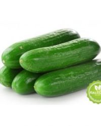 Dưa leo giòn mát – Tươi ngon mỗi ngày!