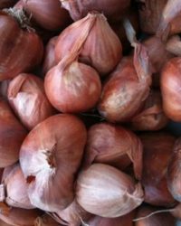 Hành Khô – Hương Vị Đậm Đà, Thêm Ngon Mỗi Ngày!