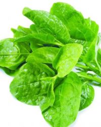 Mùng tơi tươi – Món rau xanh bổ dưỡng cho cả nhà