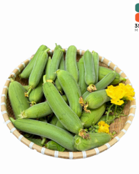 Mướp Hương Tươi – Ngọt Lành, Tinh Túy Tự Nhiên