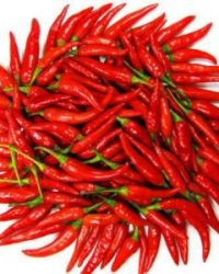 Ớt cay chuẩn vị – thăng hoa ẩm thực